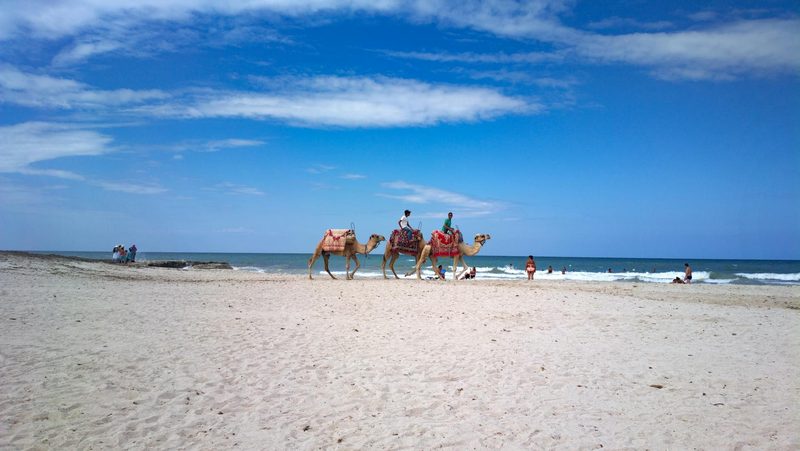 Djerba, Tunesien - Zwei Kamele mit Reitern auf einem sandigen Strand am Meer unter einem blauen Himmel mit Wolken.