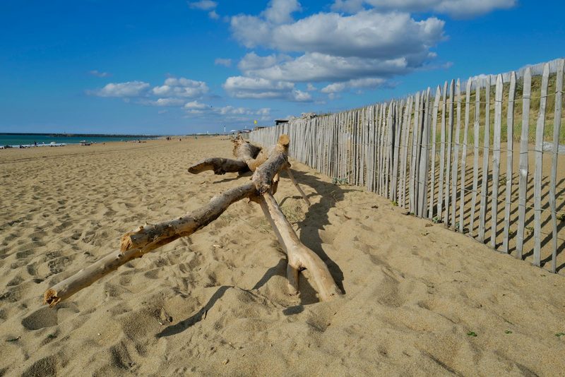 Ein Sandstrand mit Treibholz im Vordergrund und einem Holzzaun, der die Dünen begrenzt. Im Hintergrund ist das Meer und der Himmel mit Wolken zu sehen.