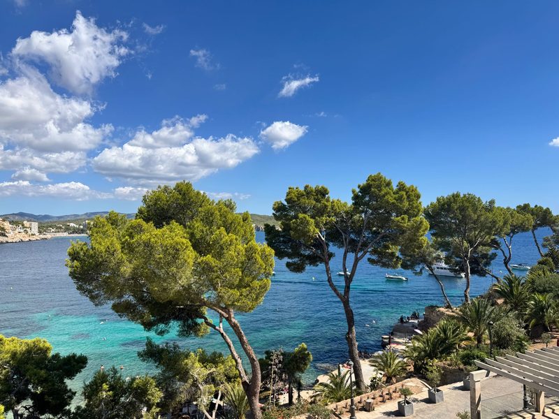 Ibiza, Spanien - Stunning view of the Ibiza coastline with vibrant turquoise waters and pine tree
