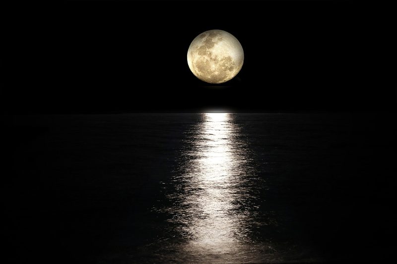 Kreuzfahrten mit AIDA luna – Traumurlaub auf hoher See