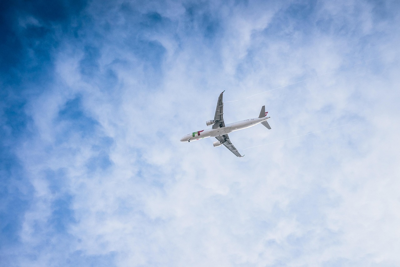 Flugzeug Flughafen Reise - flugzeug, fliegend, aviator, reisen, flugverkehr, ferien, tourismus, fluggesells