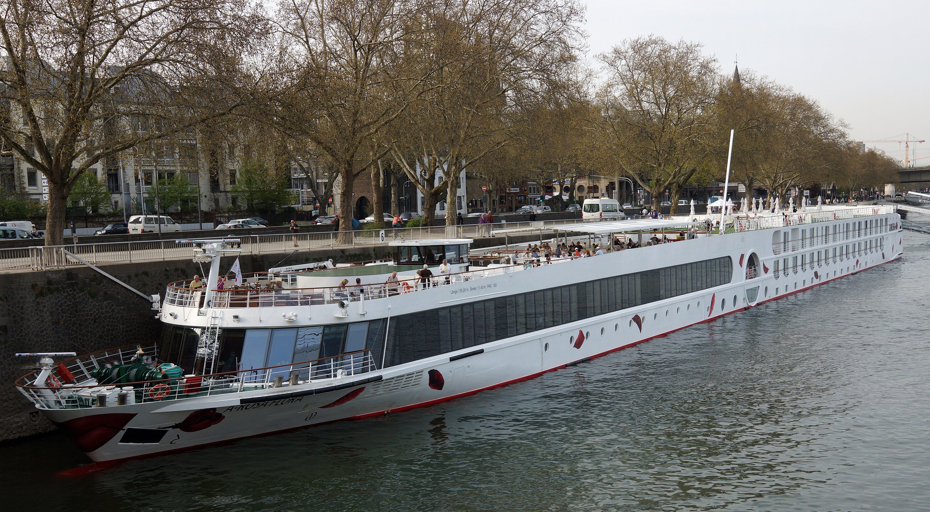 Ein weißes Flusskreuzfahrtschiff mit dem Namen A-ROSA FLUNA liegt an einer Uferpromenade mit Bäumen und Gebäuden.