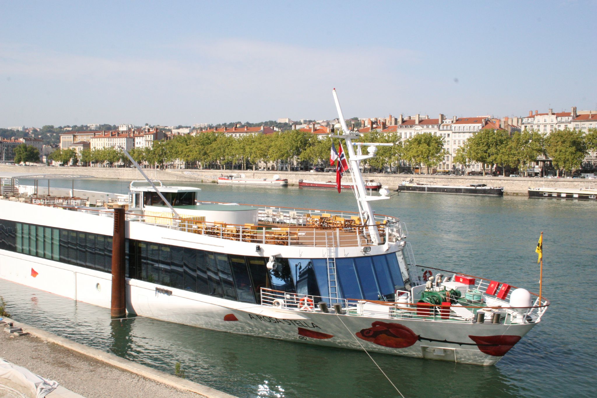 Ein Flusskreuzfahrtschiff liegt im Wasser vor einer Stadtkulisse mit Gebäuden und Bäumen.