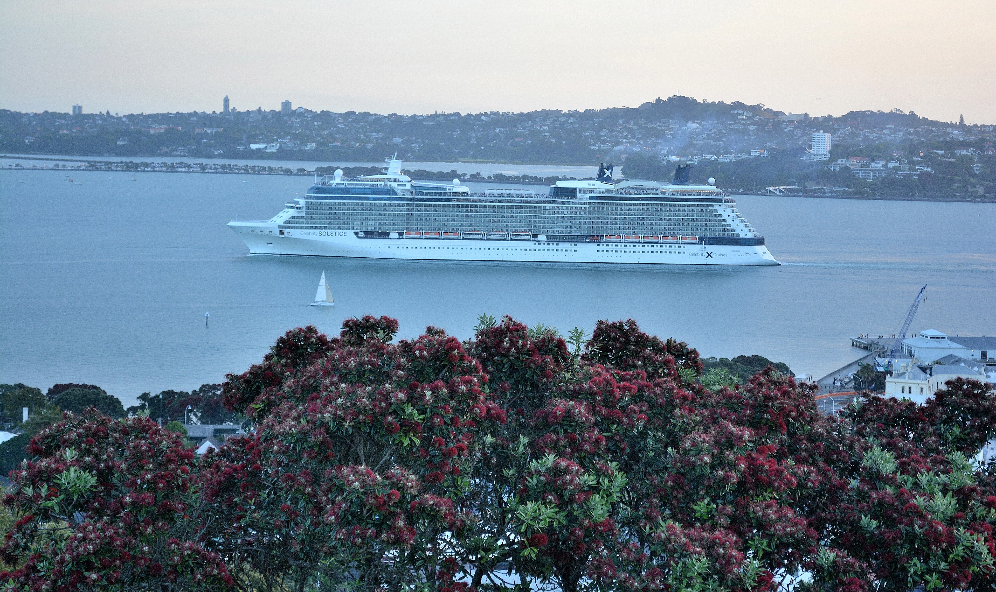 Ein grosses Kreuzfahrtschiff faehrt auf dem Meer an einer Stadt mit Huegeln und Gebaeuden vorbei, im Vordergrund blühen rote Blumen.