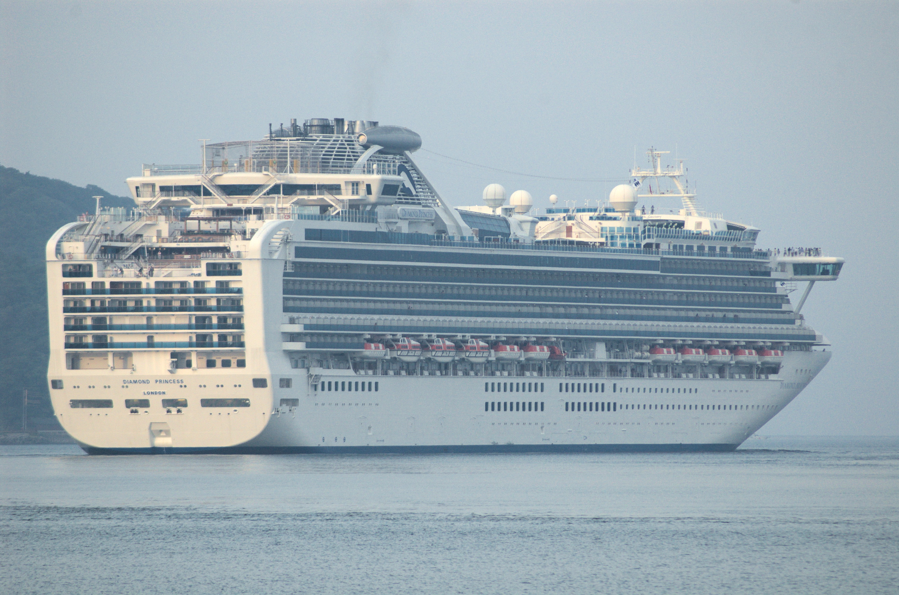 Das Kreuzfahrtschiff Diamond Princess fährt auf dem Meer.