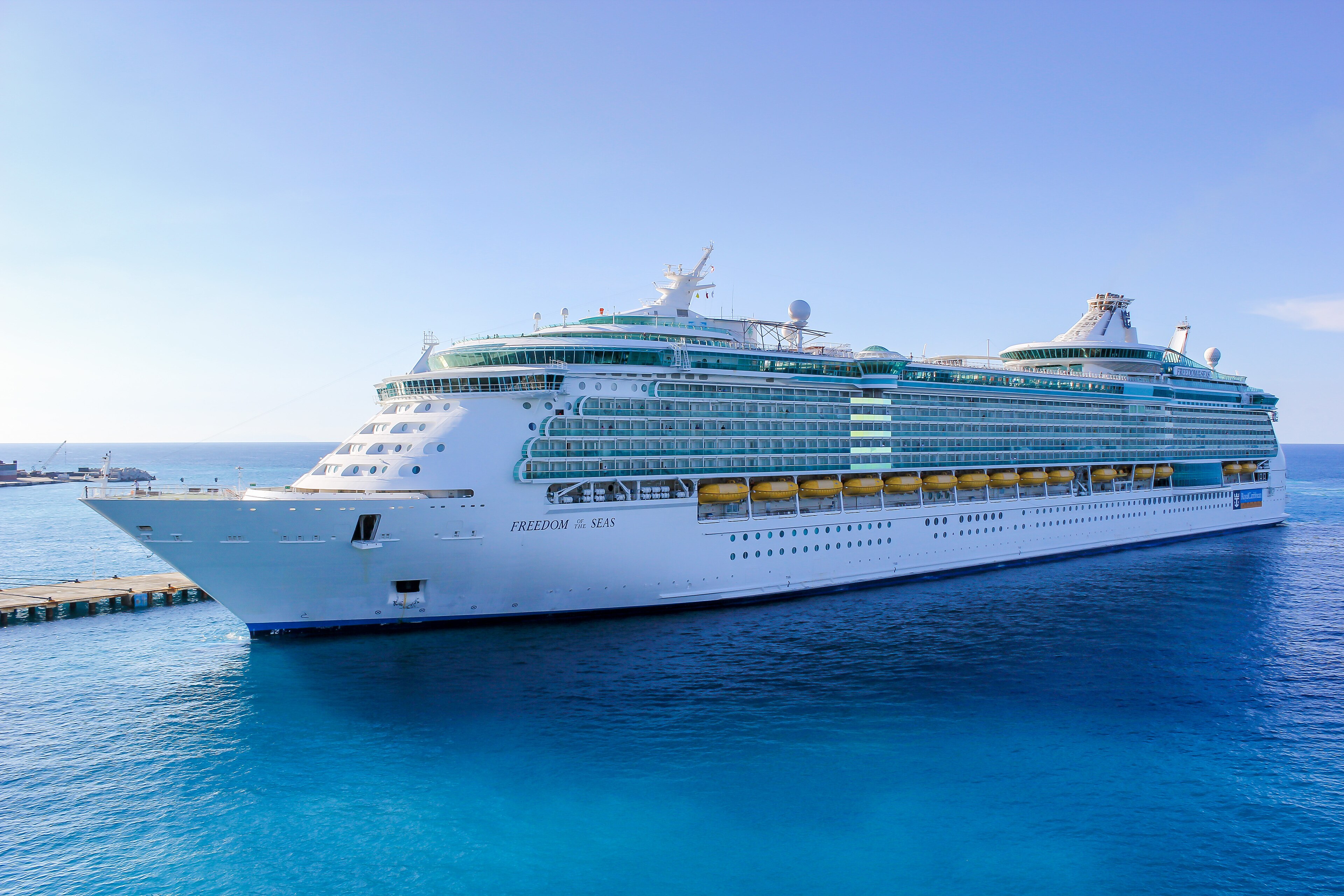 Ein großes weißes Kreuzfahrtschiff namens 