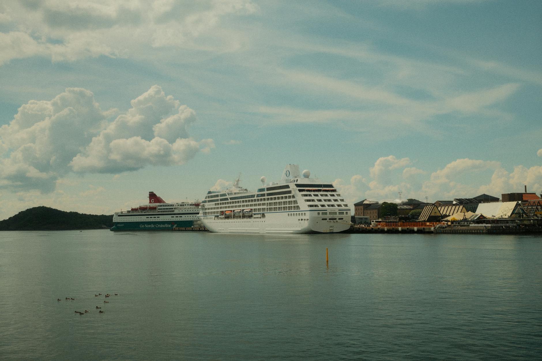 Zwei Kreuzfahrtschiffe liegen im Hafen, im Vordergrund schwimmen Enten auf dem Wasser.