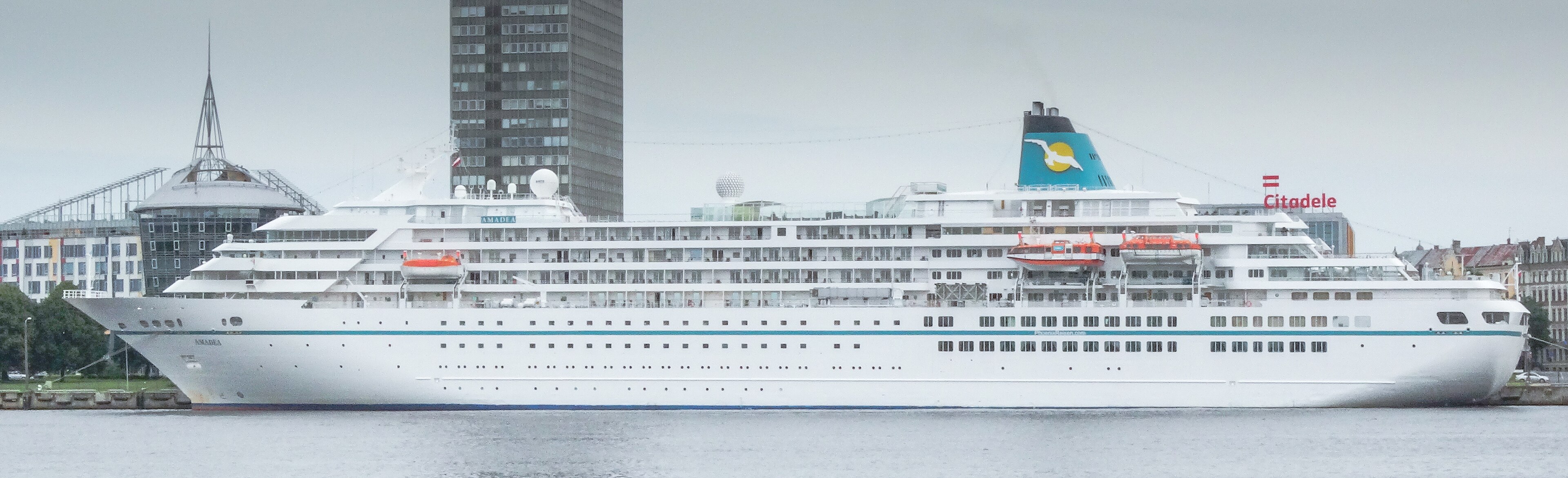 Ein großes weißes Kreuzfahrtschiff liegt im Hafen vor einer Stadtkulisse mit modernen Gebäuden.