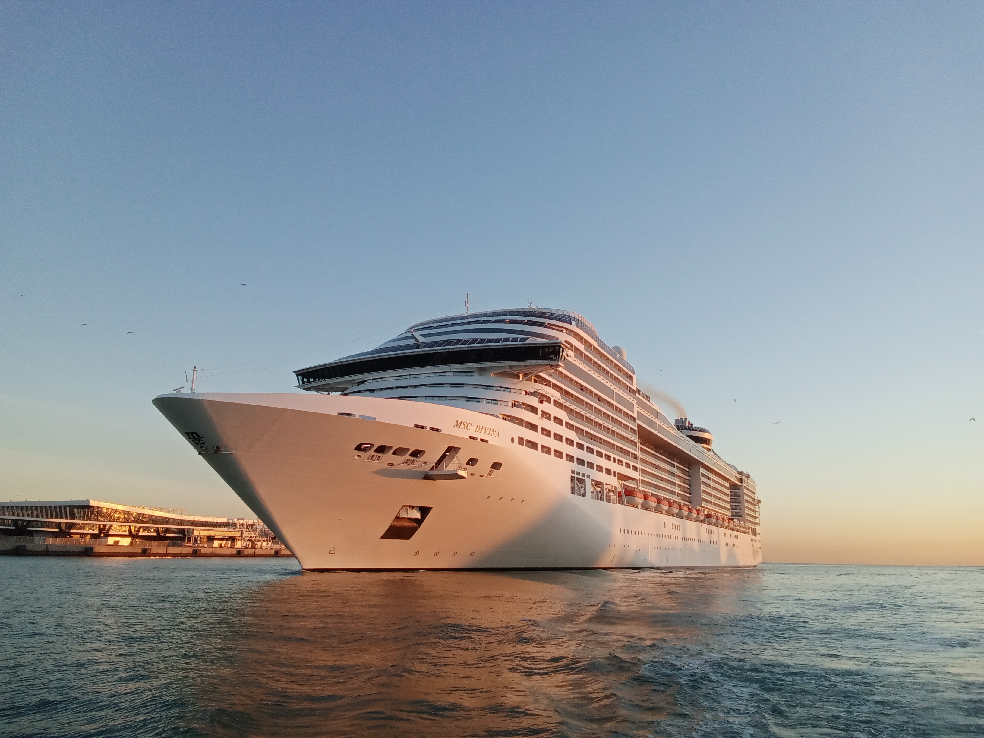 Ein großes weißes Kreuzfahrtschiff namens MSC DIVINA fährt auf dem Meer in Richtung eines Hafengebäudes, das im warmen Licht der untergehenden Sonne beleuchtet wird.
