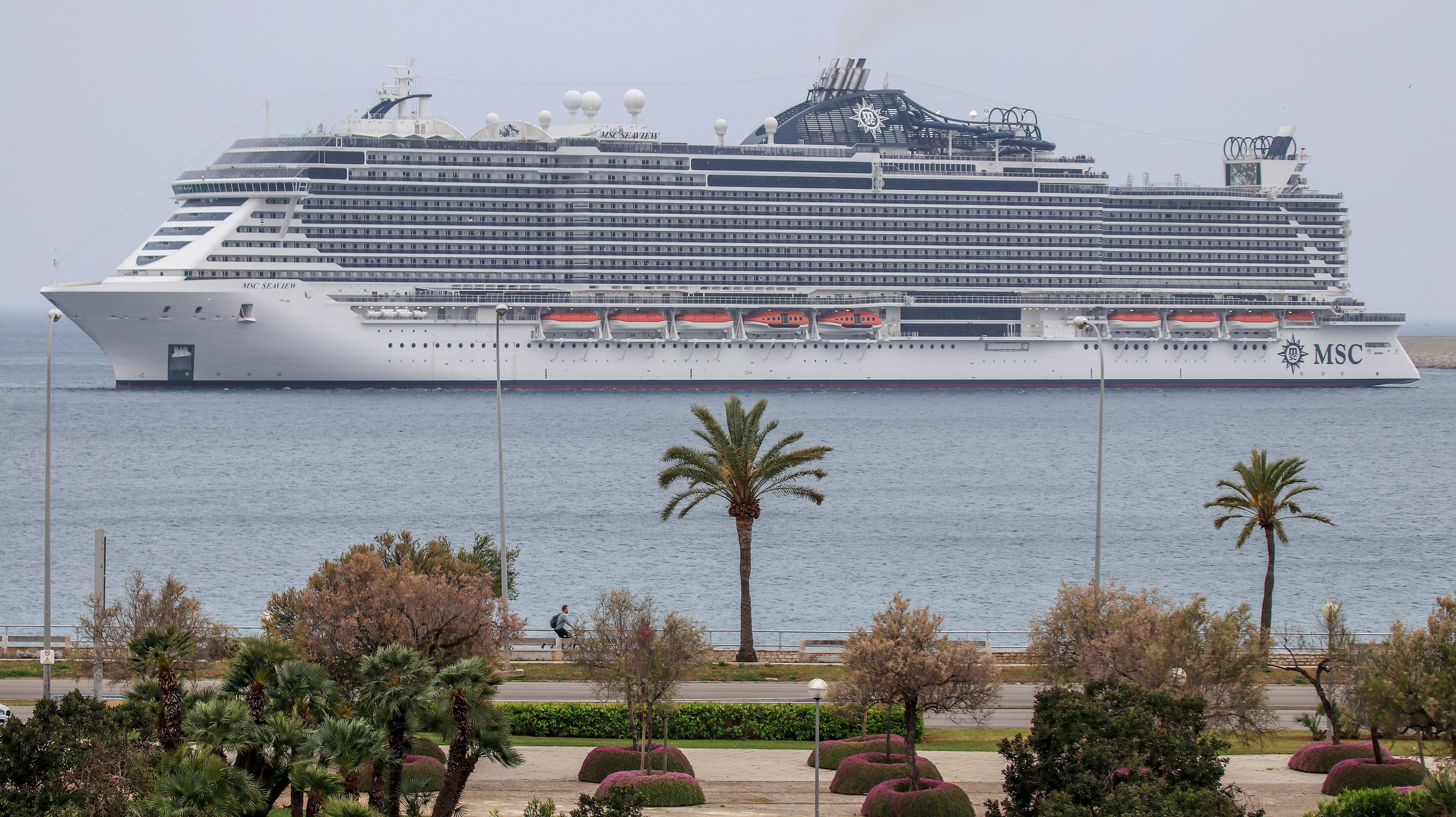 Ein großes weißes Kreuzfahrtschiff mit dem Namen MSC Seaview fährt auf dem Meer, im Vordergrund sind Palmen und Bäume zu sehen.