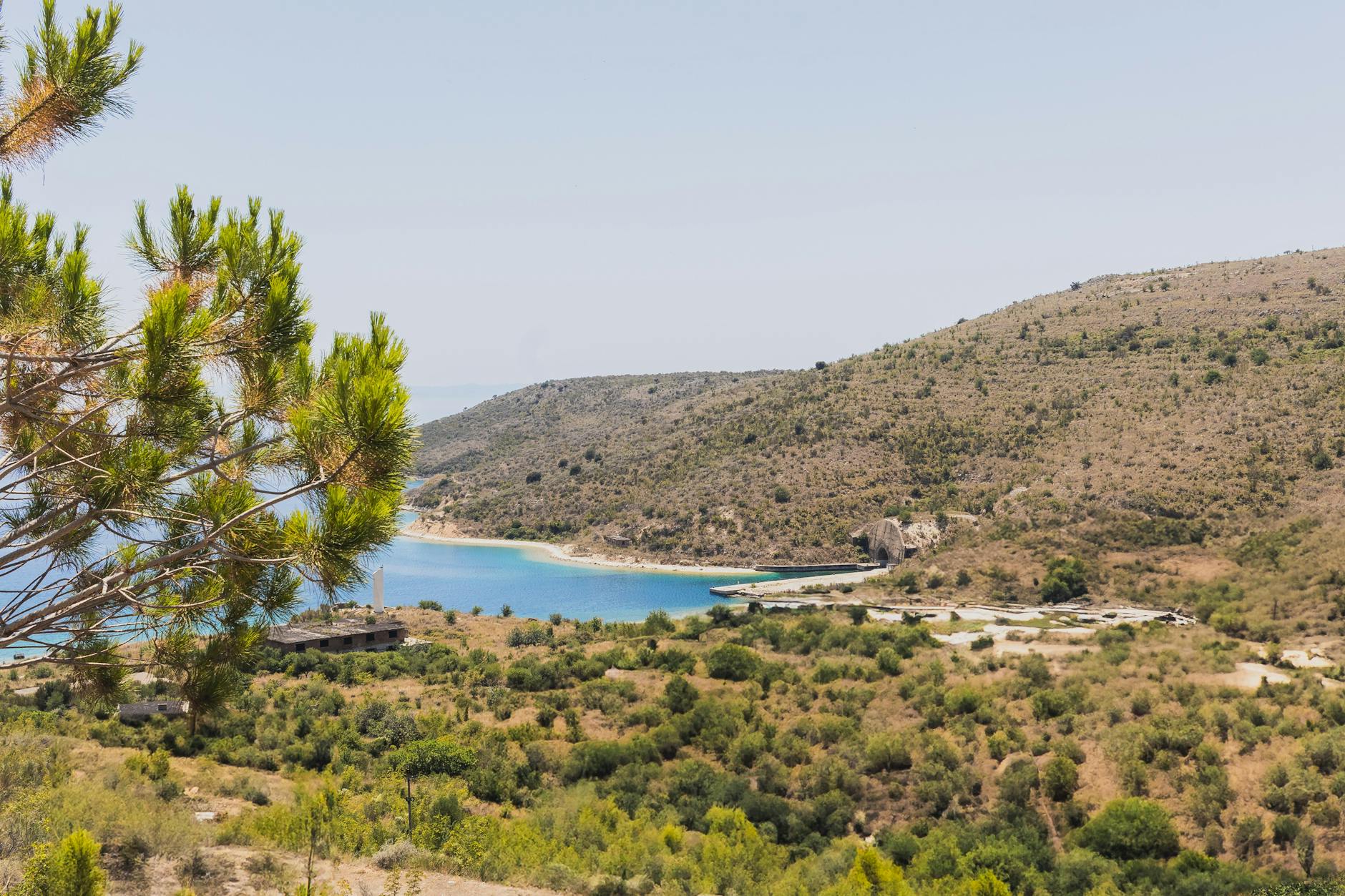 Eine Bucht mit türkisfarbenem Wasser, umgeben von bewaldeten Hügeln und mit einer Pinie im Vordergrund.