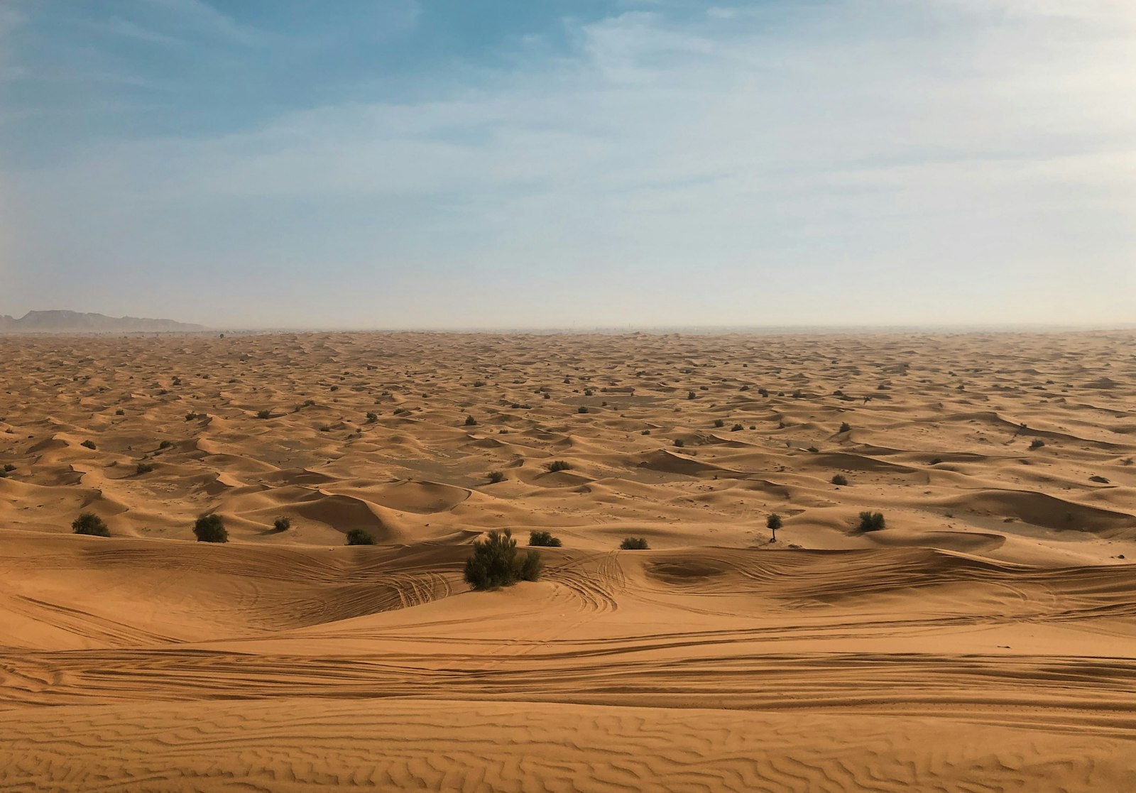 Arabische Emirate Steckbrief: Klima, beste Reisezeit, Highlights & Fakten für deine Reiseplanung