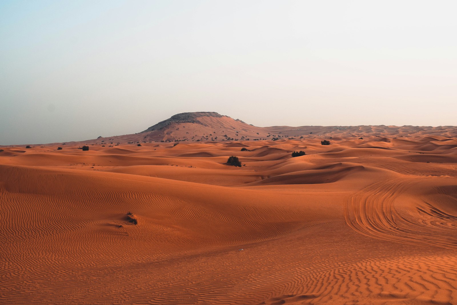Arabische Emirate Steckbrief: Klima, beste Reisezeit, Highlights & Fakten für deine Reiseplanung