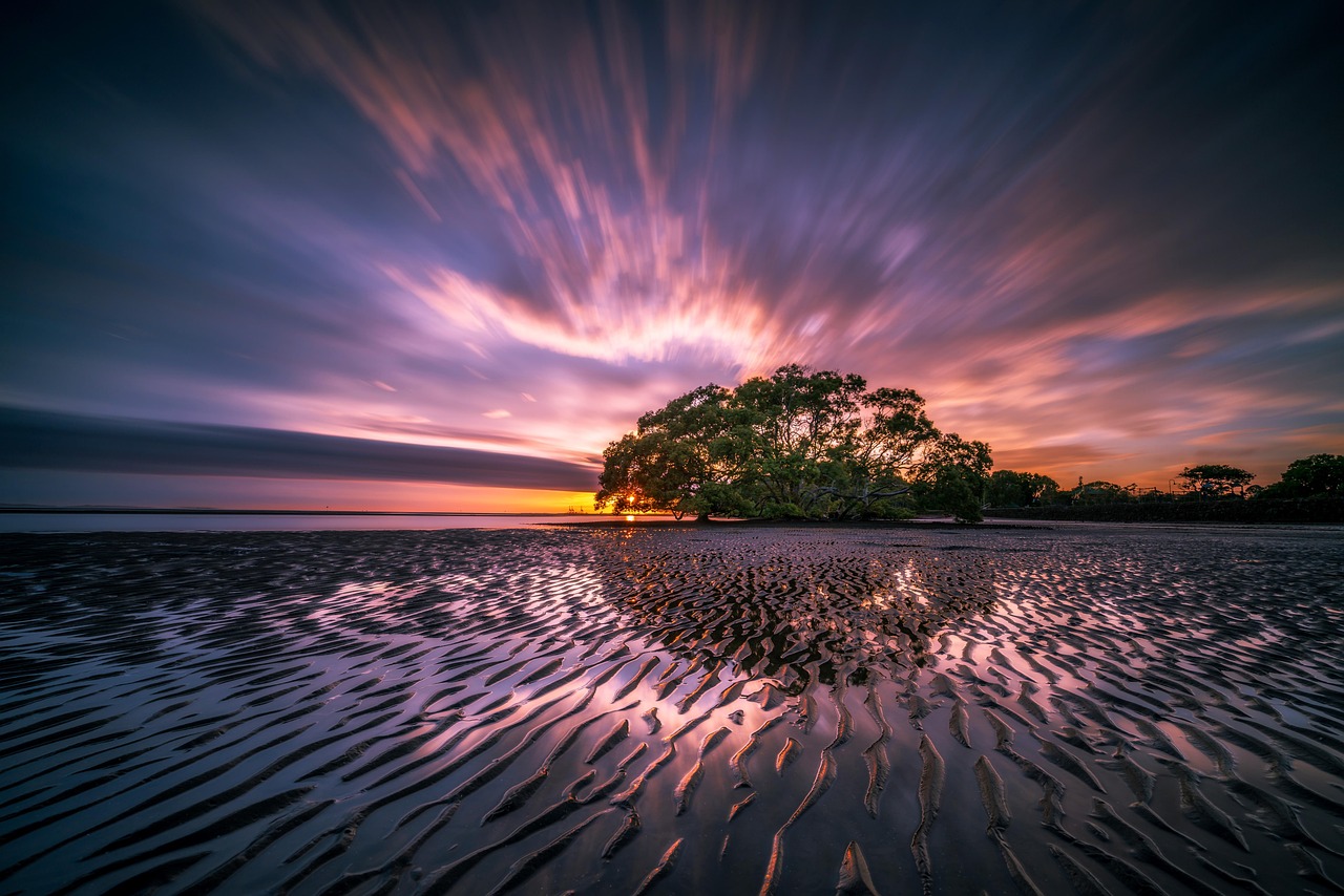 Ein einsamer Baum steht auf einem sandigen Strand bei Sonnenuntergang, mit dramatischen Wolken und reflektierendem Wasser.