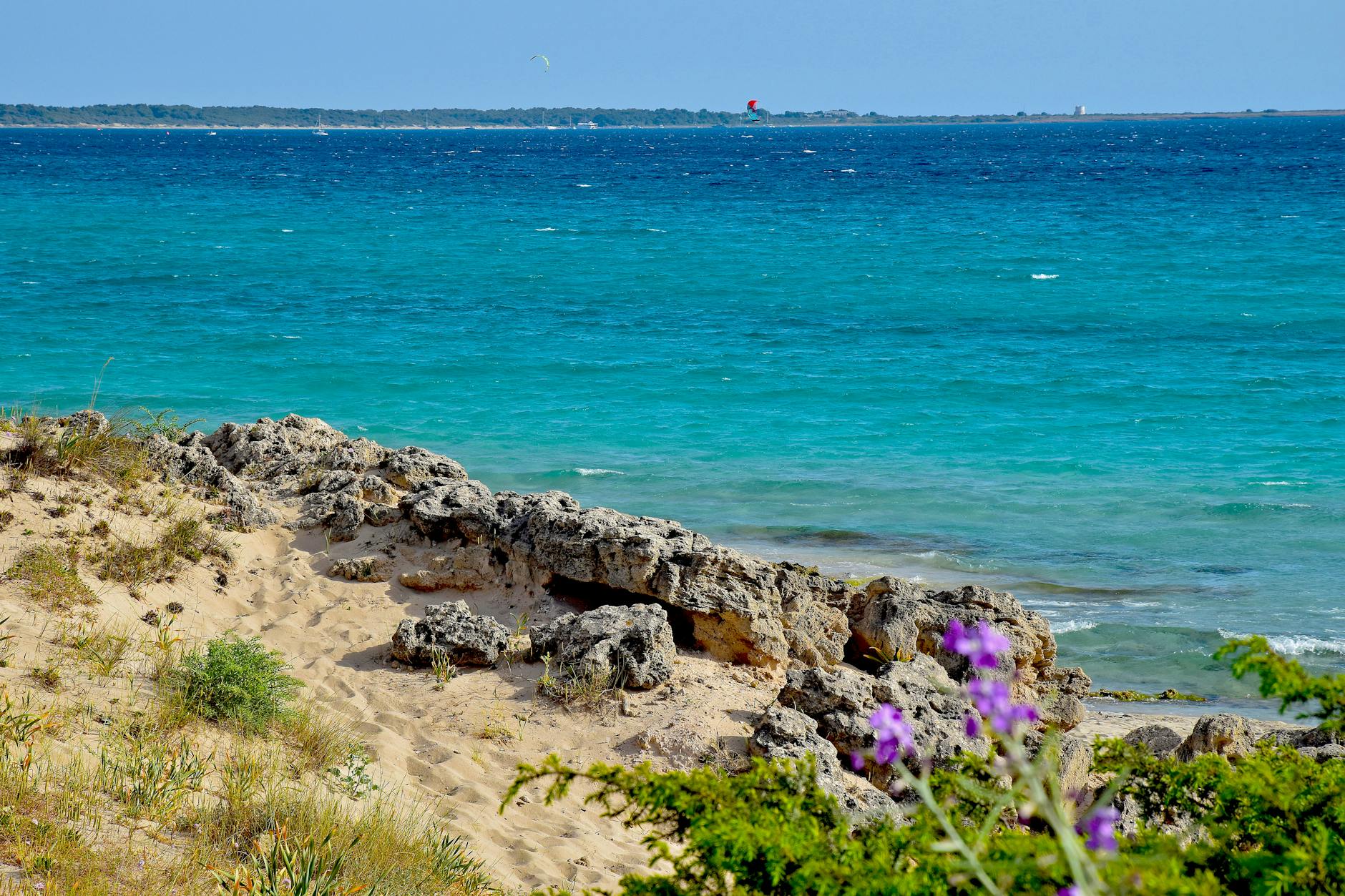 Djerba, Tunesien - Ein sandiger Strand mit Felsen und gruener Vegetation im Vordergrund, dahinter das tuerkise Meer mit Kitesurfern und Segelbooten am Horizont.