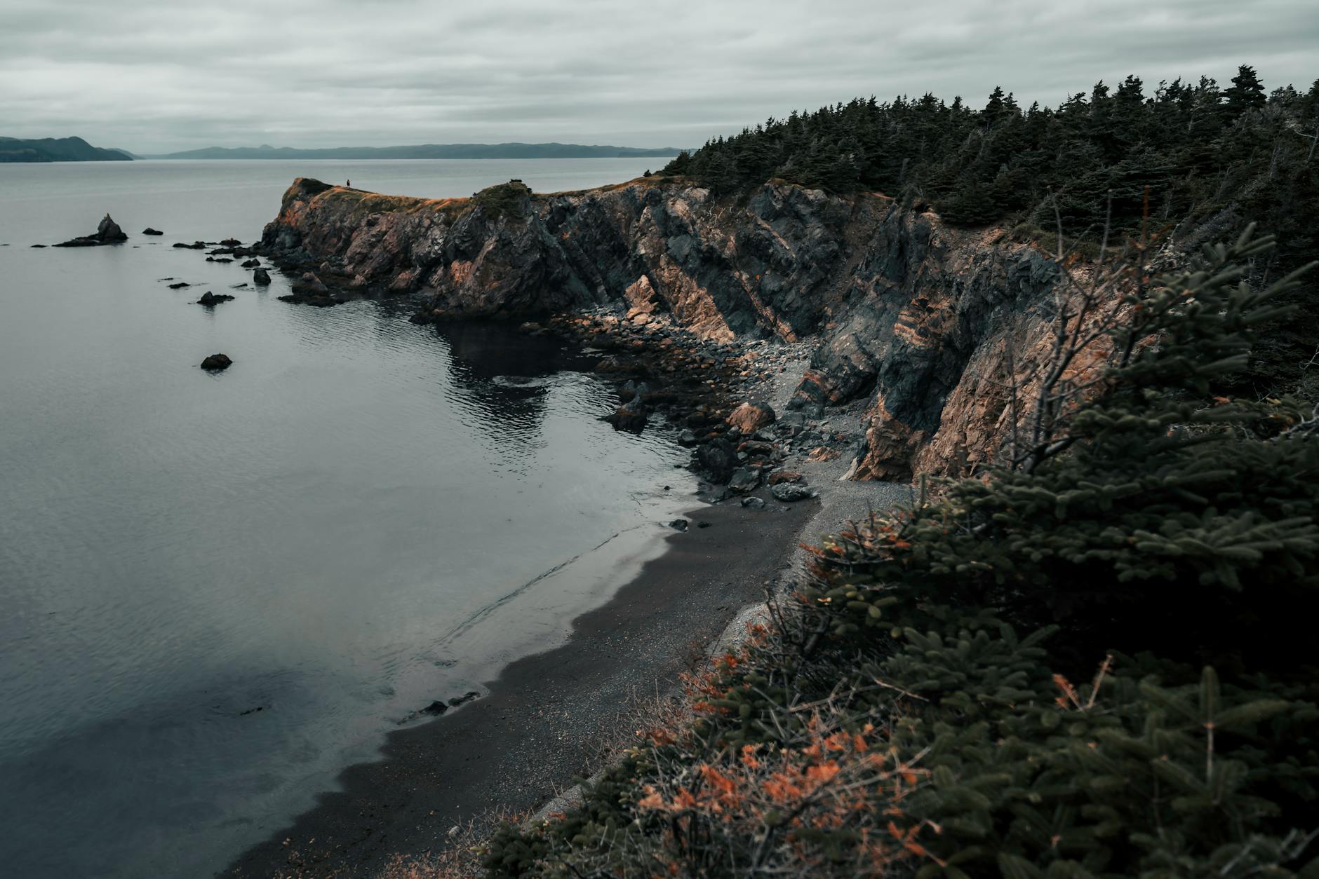 Eine felsige Kueste mit einem kleinen Strand und einem Kiefernwald, der auf den Klippen steht, mit dem Meer im Vordergrund.