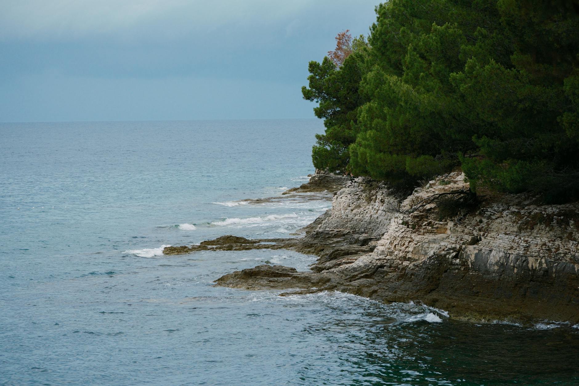 Eine felsige Kueste mit Pinien, die ins Meer abfaellt, waehrend kleine Wellen an die Felsen schlagen.