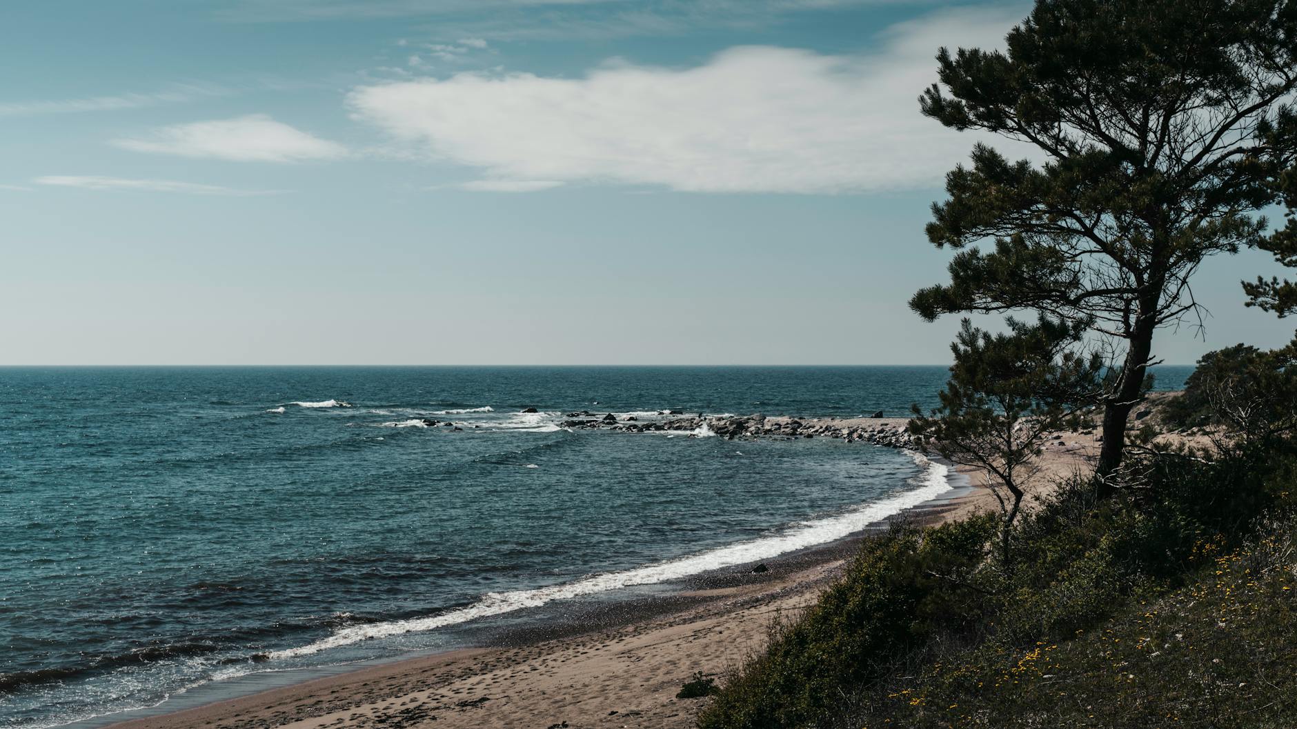 Ein sandiger Strand mit vereinzelten Steinen und einer Kiefer im Vordergrund, der in das blaue Meer übergeht.
