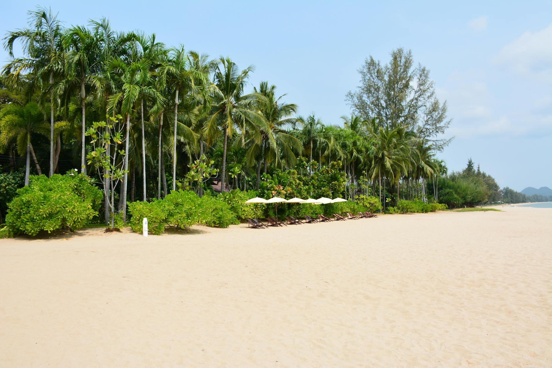 Ein breiter Sandstrand mit Palmen und Liegestühlen unter Sonnenschirmen im Hintergrund.