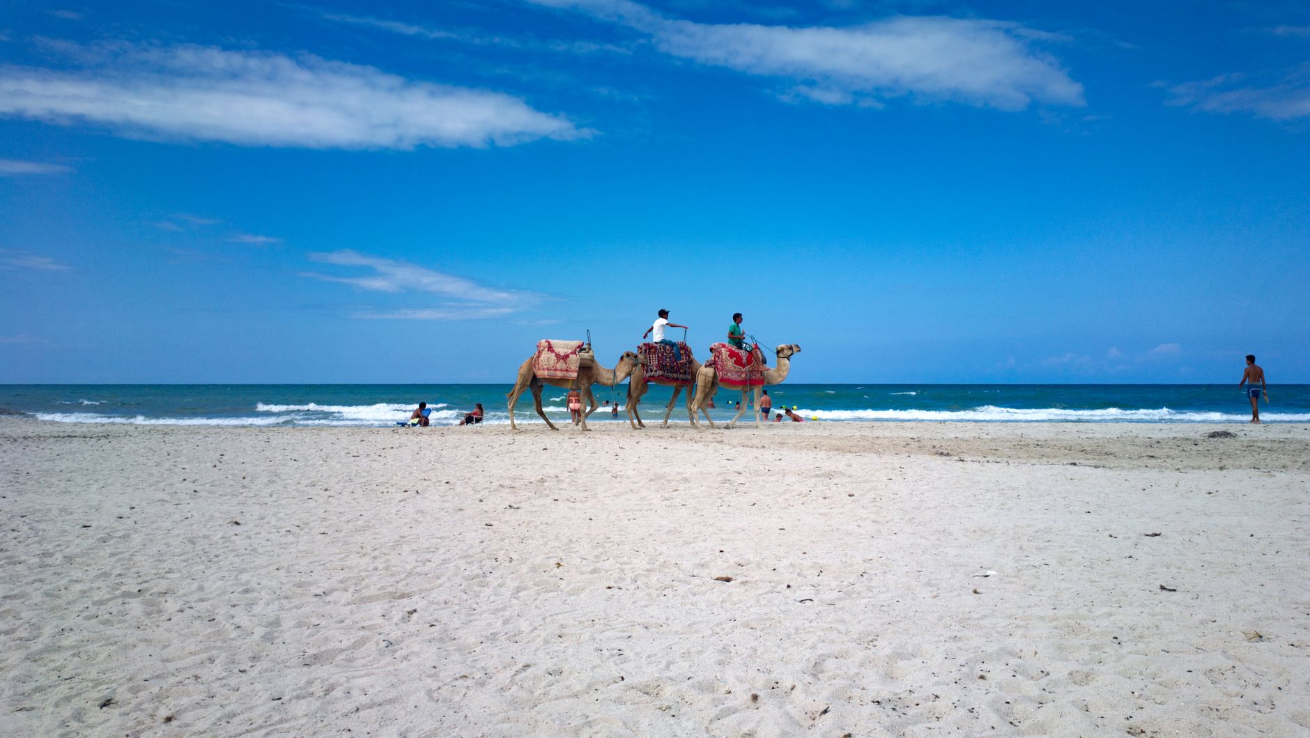 Tunesien - Peaceful beach scene with camels and tourists under a clear blue sky in Tunisia.