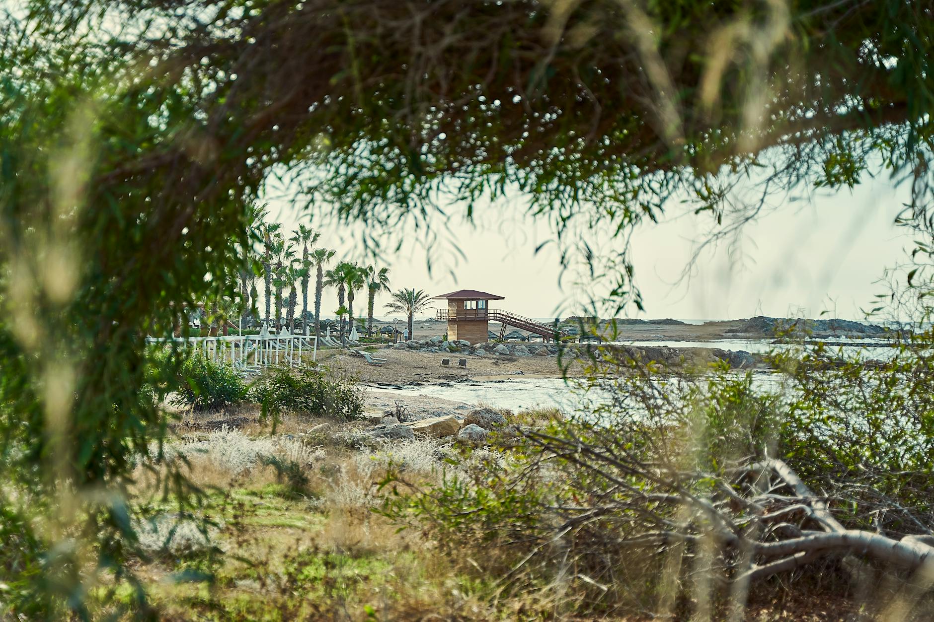 Ein hölzerner Rettungsschwimmerturm steht am Strand mit Palmen und Liegestühlen im Hintergrund, durch Äste und Blätter im Vordergrund betrachtet.