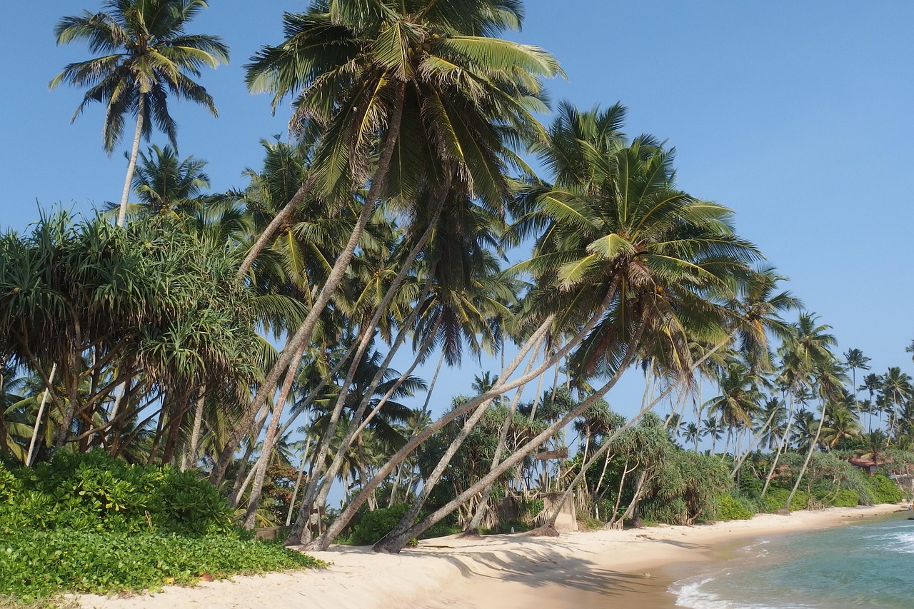 Indien & Sri Lanka Pauschalreisen ab Hamburg – Asien-Abenteuer buchen