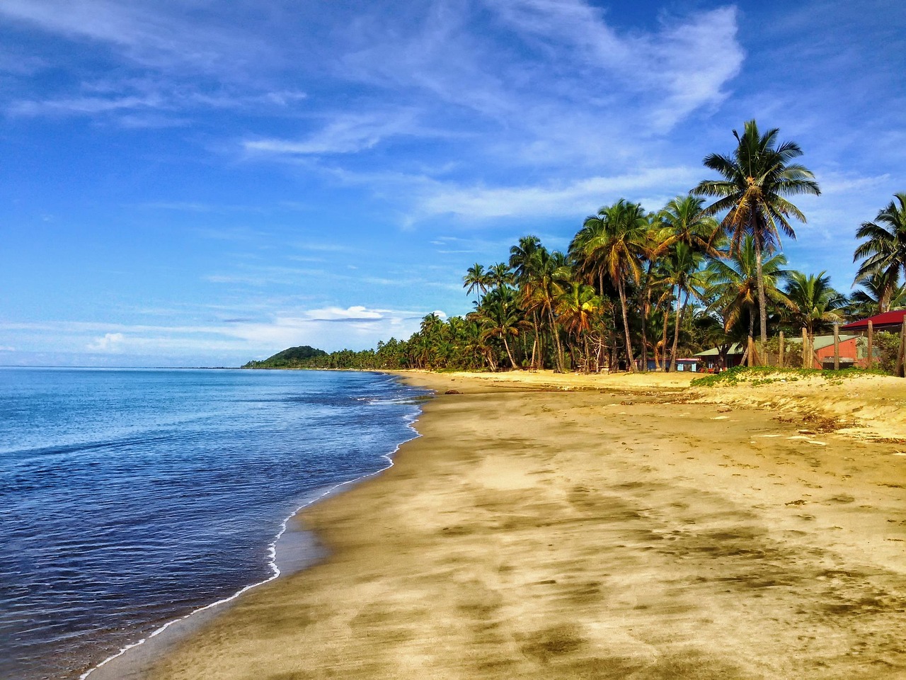 Johannesburg - strand, sand, palmen, tropischer strand, meer, ozean, küste, ufer, landschaft, n